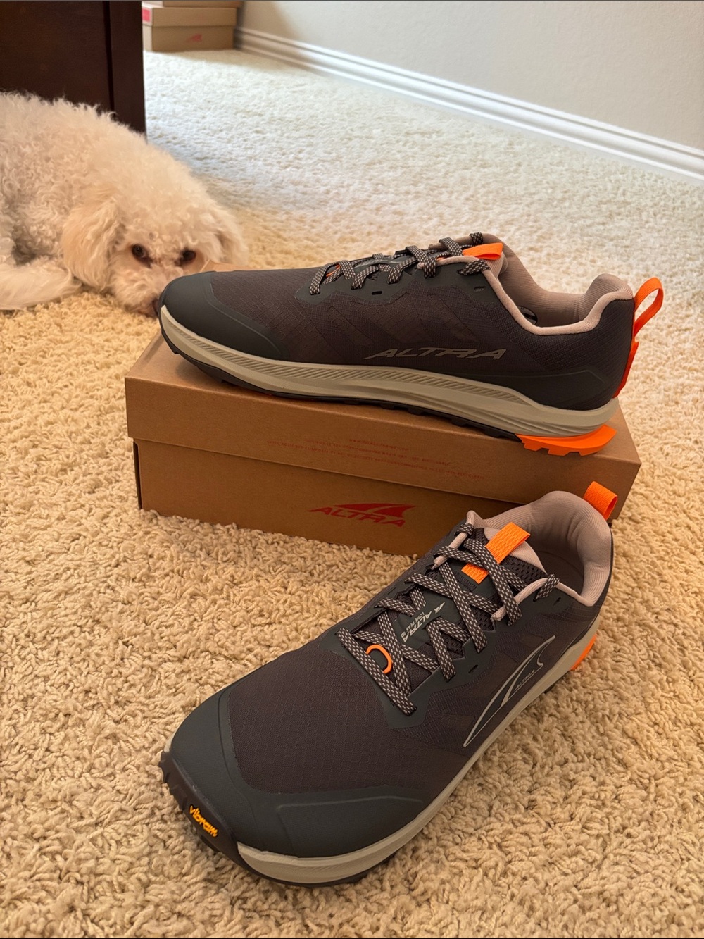 Altra M Lone Peak 9+